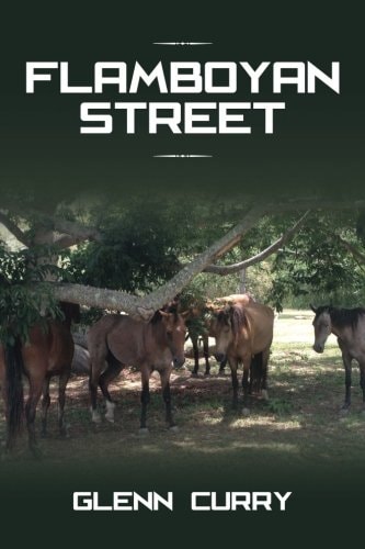 Flamboyan Street