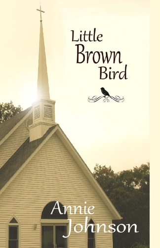 Little Brown Bird