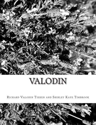 Valodin