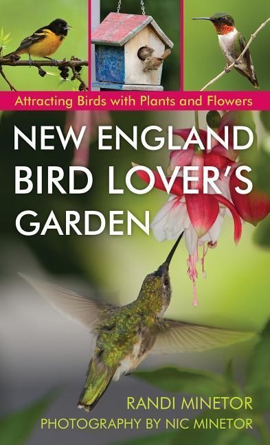 New England Bird Lovers Garden: Attracting Birds with Plants and Flowers