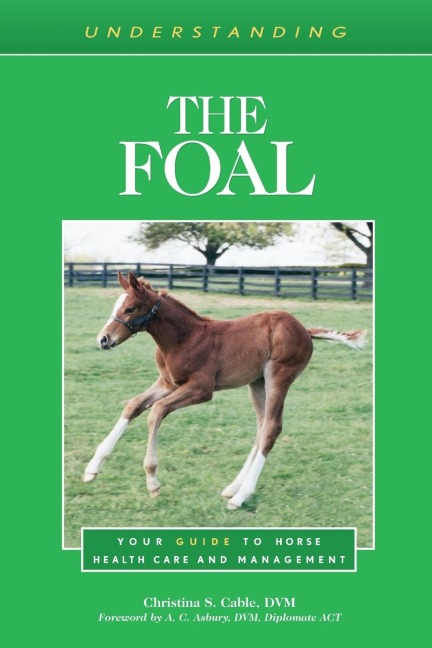 Understanding the Foal: Your Guide to Horse Health Care and Management