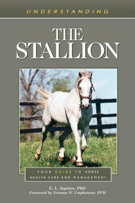 Understanding the Stallion: Your Guide to Horse Health Care and Management