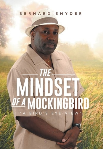 The Mindset of a Mockingbird A Birds Eye-View