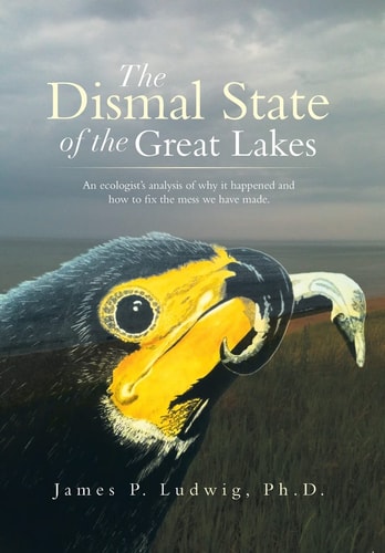 The Dismal State of the Great Lakes An Ecologist's Analysis of Why It Happened, and How to Fix the Mess We Have Made.