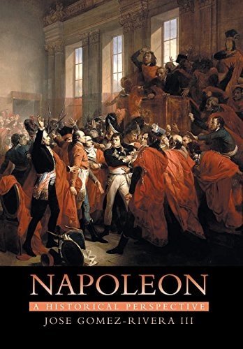 Napoleon A Historical Perspective