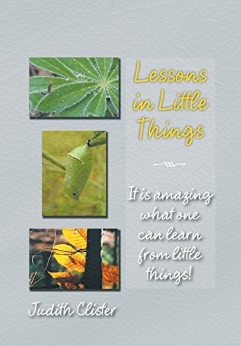Lessons in Little Things It Is Amazing What One Can Learn from Little Things!