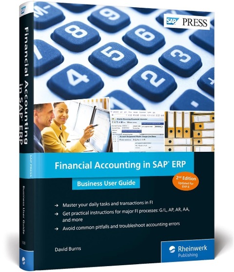 Financial Accounting in SAP Erp: Business User Guide