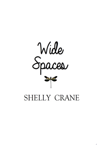 Wide Spaces A Wide Awake Novella