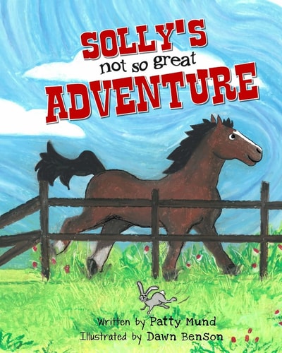 Solly's Not So Great Adventure
