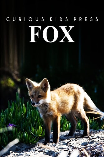 Fox Amazing Facts about Fox Kids Picture Book