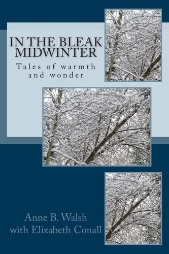 In the Bleak Midwinter Tales of Warmth and Wonder
