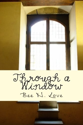 Through a Window A Short Story Collection