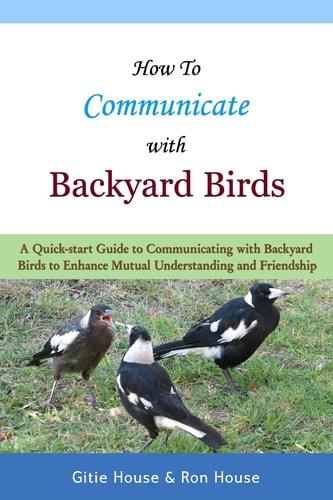How To Communicate With Backyard Birds A Quick Start Guide on How To Communicate with Backyard Birds to Enhance Mutual Understanding and Friendship