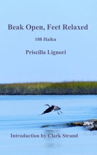 Beak Open, Feet Relaxed 108 Haiku