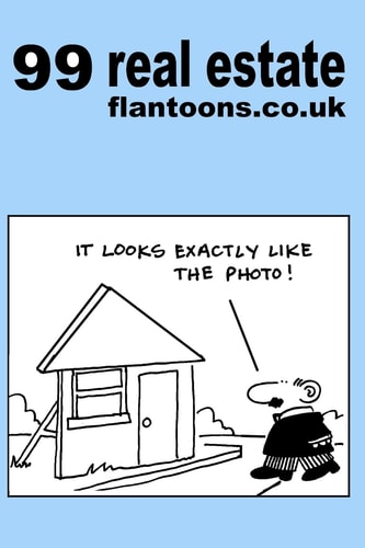 99 Real Estate Flantoons.co.uk 99 Great and Funny Cartoons about Property