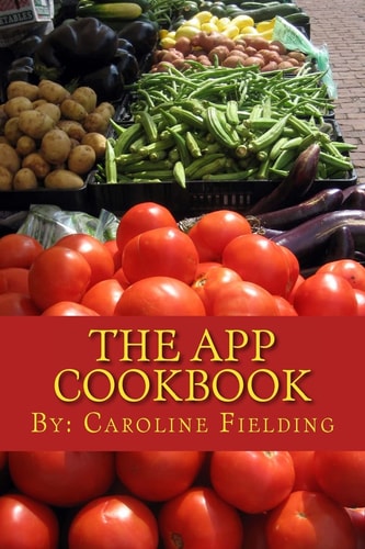 The App Cookbook The Experience of Creating an App from Scratch