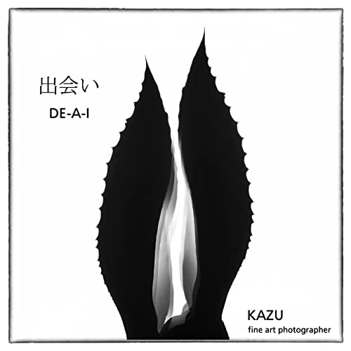 De-A-i (Japanese for Encounter)