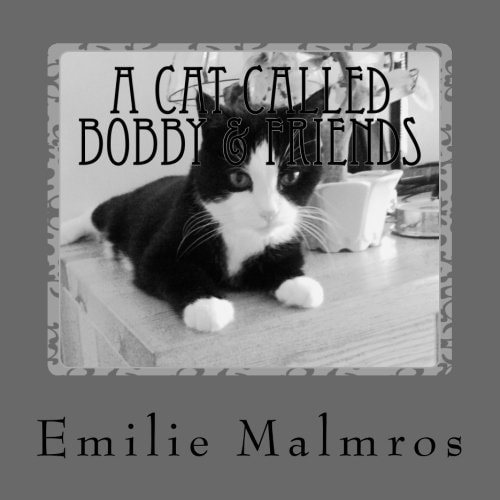 A Cat Called Bobby & Friends He Came One Rainy Day...