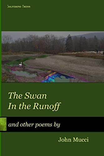 Swan in the Runoff And Other Poems