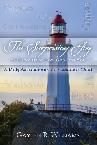 The Surprising Joy of Discovering How God Sees You A Daily Adventure with Your Identity in Christ