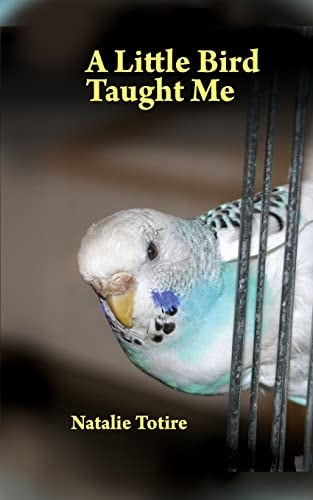 A Little Bird Taught Me Inspirations from a Parakeet