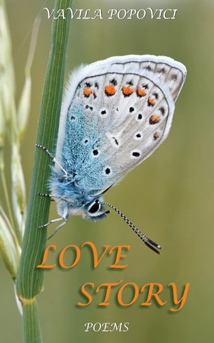Love Story Poveste de Dragoste
