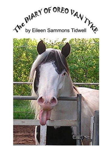 The Diary of Oreo Van Tyke An Unusual Paint Stallion