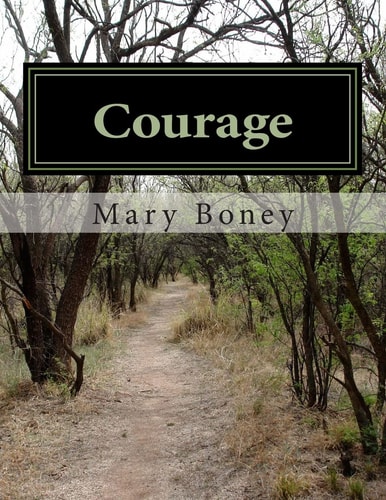 Courage A Collection: Harry Plane and Life Lessons