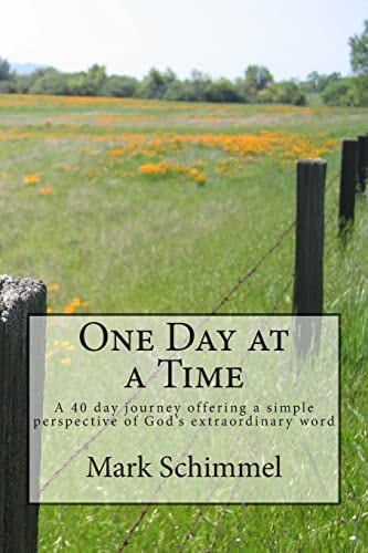 One Day at a Time A 40 Day Journey Offering a Simple Perspective of God's Extraordinary Word