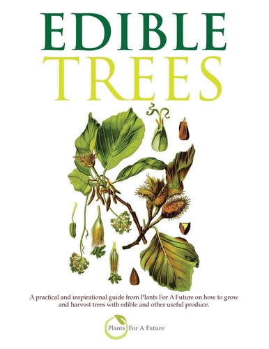 Edible Trees A Practical and Inspirational Guide from Plants for a Future on How to Grow and Harvest Trees with Edible and Other Useful Produce