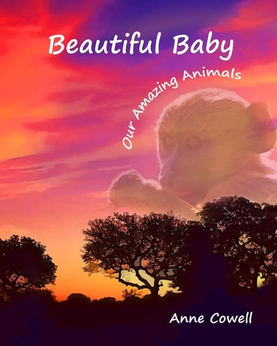 Beautiful Baby Our Amazing Animals
