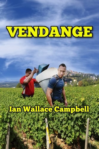 Vendange Tales from the Grapevine