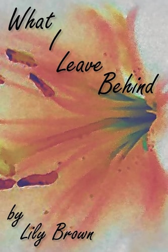 What I Leave Behind