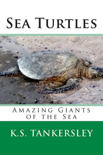Sea Turtles Amazing Giants of the Sea