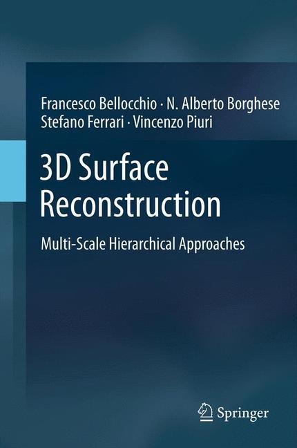 3D Surface Reconstruction: Multi-Scale Hierarchical Approaches