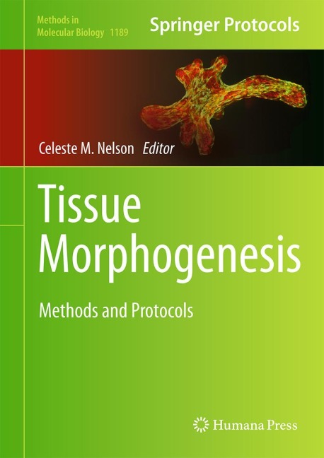Tissue Morphogenesis: Methods and Protocols