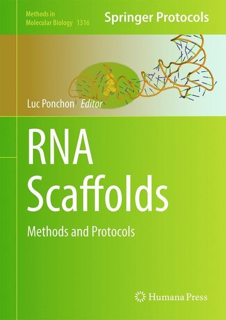 RNA Scaffolds: Methods and Protocols