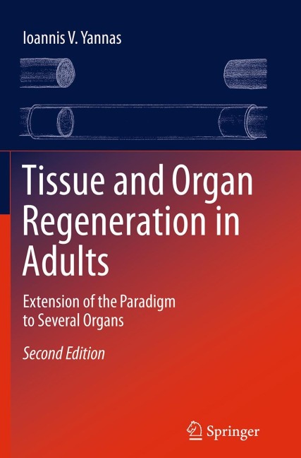 Tissue and Organ Regeneration in Adults: Extension of the Paradigm to Several Organs