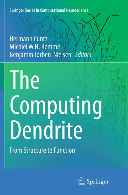 The Computing Dendrite: From Structure to Function