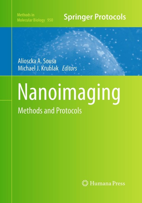 Nanoimaging: Methods and Protocols