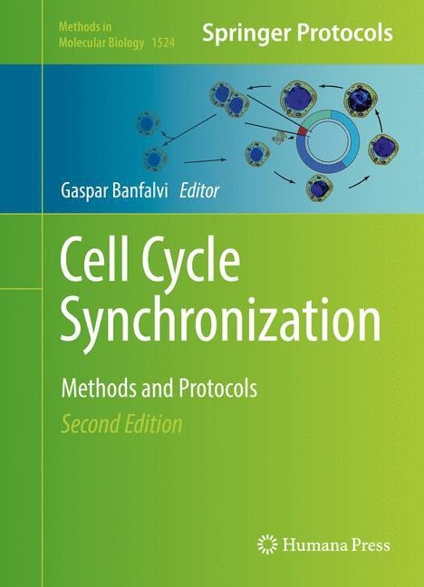 Cell Cycle Synchronization: Methods and Protocols