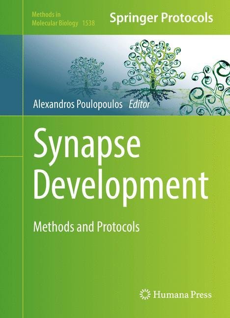 Synapse Development: Methods and Protocols