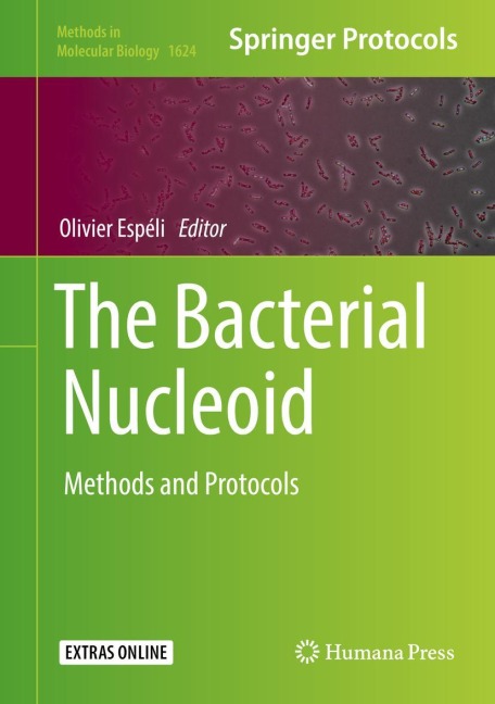 The Bacterial Nucleoid: Methods and Protocols
