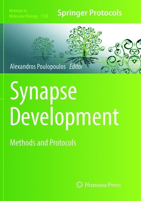Synapse Development: Methods and Protocols
