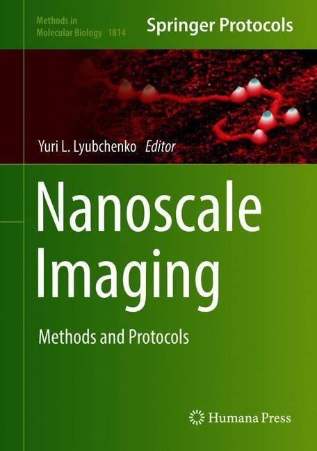 Nanoscale Imaging: Methods and Protocols