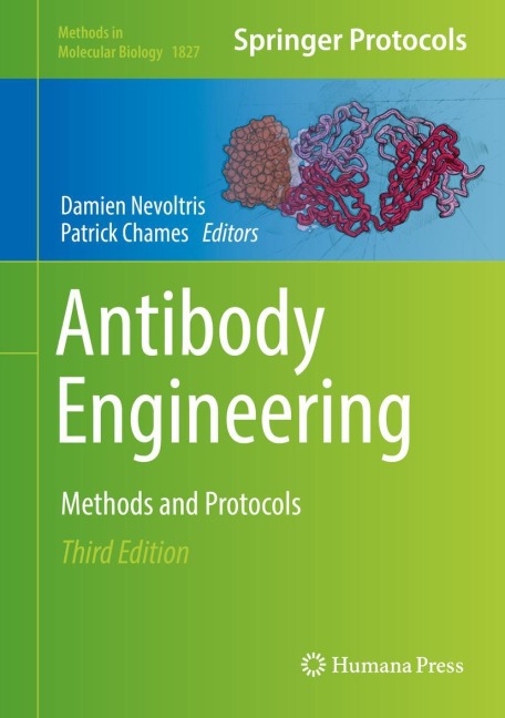 Antibody Engineering: Methods and Protocols