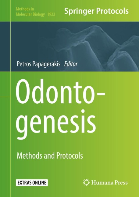Odontogenesis: Methods and Protocols