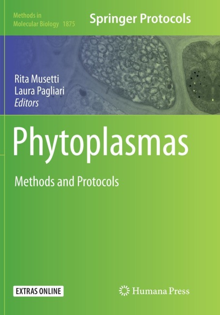 Phytoplasmas: Methods and Protocols