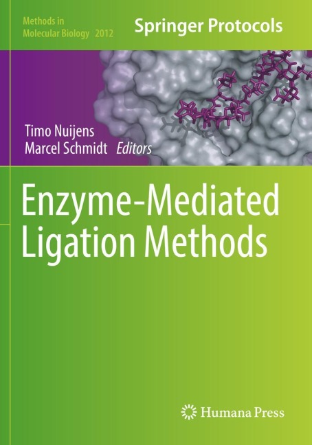 Enzyme-Mediated Ligation Methods