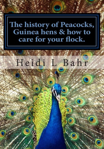 The History of Peacocks, Guinea Hens and How to Care for Your Flock